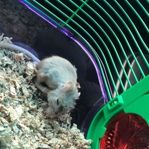 Meet your Posher, Emily